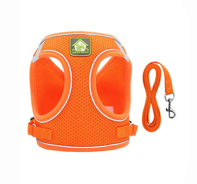 Pets harness