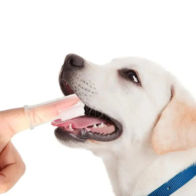4pcs Silicone Finger Toothbrushes for Dogs and Cats